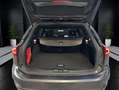Ford Focus Turnier 1.0 EB Hyb Aut. ST-LINE, AHK, Rfk Grigio - thumbnail 7