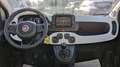 Fiat New Panda HYBRID CROSS 1.0cc 70cv ANDROID/CARPLAY Rouge - thumbnail 9
