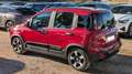 Fiat New Panda HYBRID CROSS 1.0cc 70cv ANDROID/CARPLAY Rouge - thumbnail 5