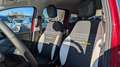 Fiat New Panda HYBRID CROSS 1.0cc 70cv ANDROID/CARPLAY Rouge - thumbnail 12