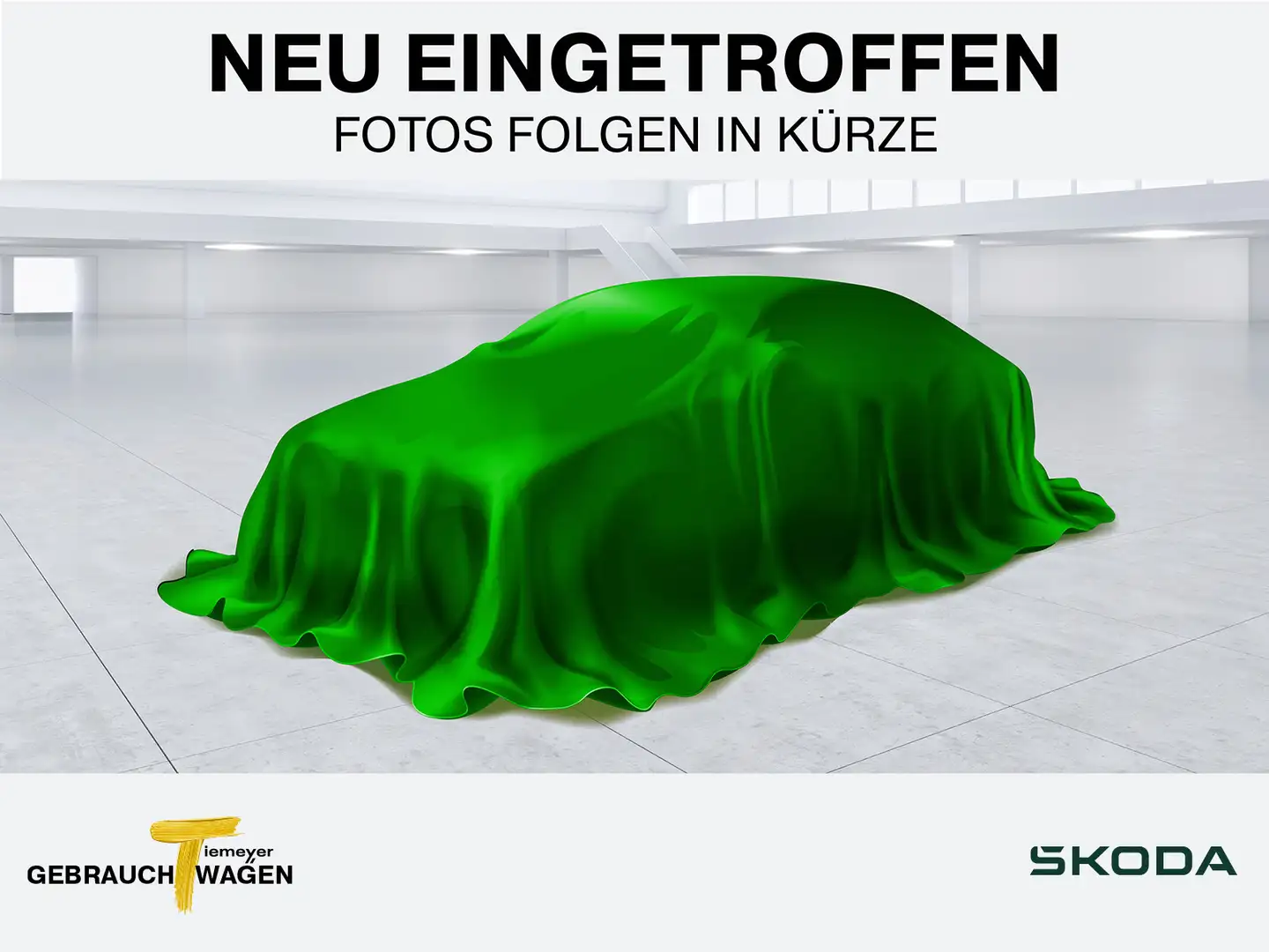 Skoda Karoq 1.5 TSI DSG STYLE AHK NAVI VIRTUAL LED Schwarz - 1
