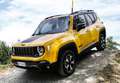 Jeep Renegade 1.3 Longitude 4x2 DDCT Rot - thumbnail 29