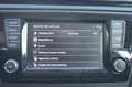 Skoda Rapid/Spaceback 1.4TDI CR Style 66kW Gris - thumbnail 26