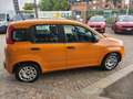 Fiat Panda Panda III 2016 1.0 hybrid Easy s Oranje - thumbnail 11