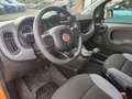 Fiat Panda Panda III 2016 1.0 hybrid Easy s Oranje - thumbnail 21