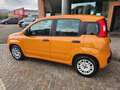 Fiat Panda Panda III 2016 1.0 hybrid Easy s Oranje - thumbnail 5