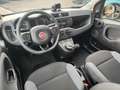 Fiat Panda Panda III 2016 1.0 hybrid Easy s Oranje - thumbnail 19