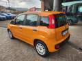 Fiat Panda Panda III 2016 1.0 hybrid Easy s Oranje - thumbnail 6