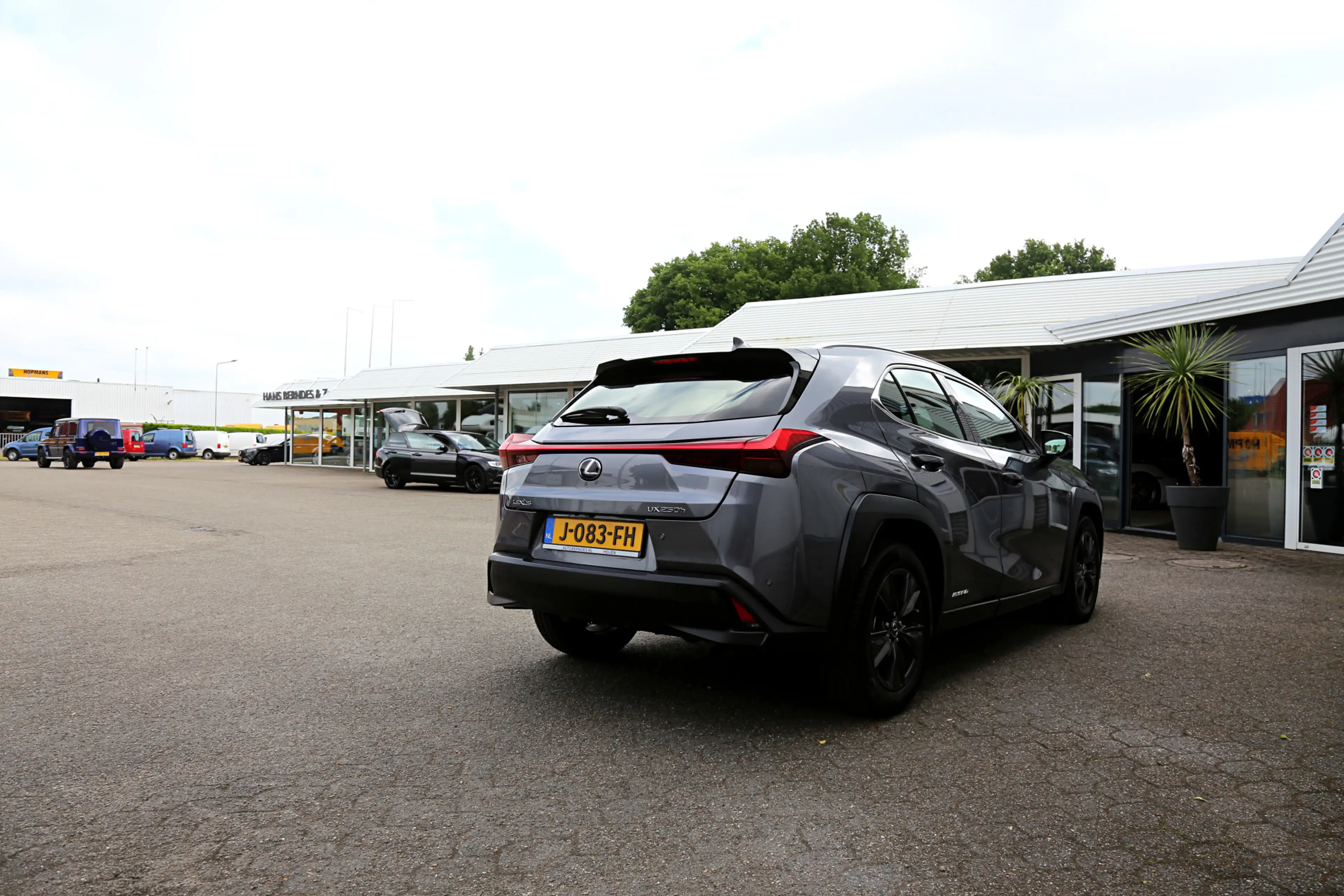 Lexus UX 250h Business Line*Fabrieksgarantie t/m 01-2030!*Perfec — photo 6