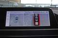 Ora Funky Cat ORA 03  300 Rot - thumbnail 16