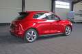 Ora Funky Cat ORA 03  300 Rot - thumbnail 5