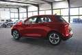 Ora Funky Cat ORA 03  300 Rot - thumbnail 3
