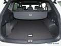 Volkswagen Tiguan Allspace 2.0TDI R Line 4M BlackStyle PANO Weiß - thumbnail 13