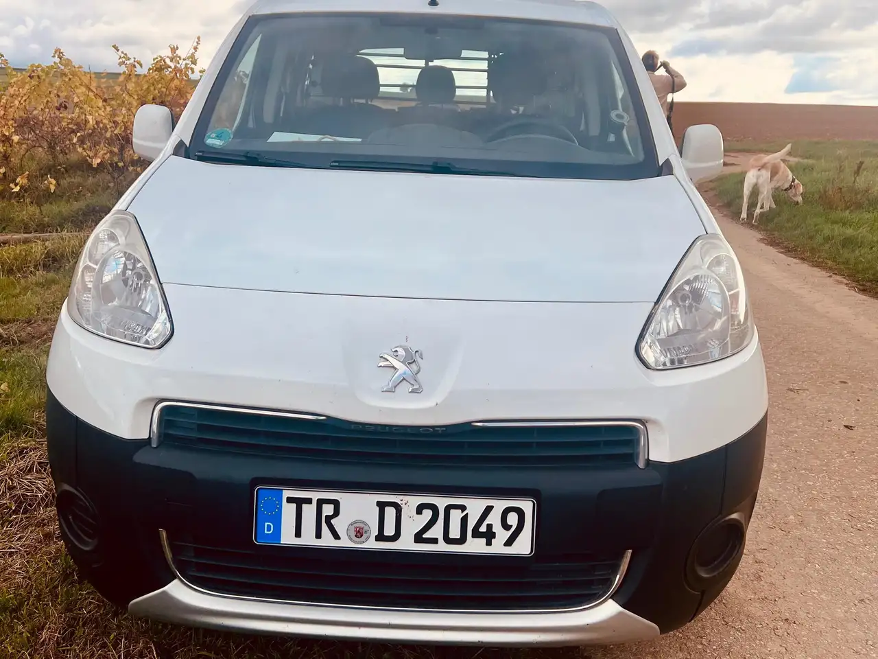 Peugeot Partner Partner Tepee Tepee 98 VTi Style — photo 1 of 5