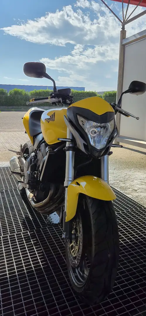 Honda Hornet cb600f Jaune - 1