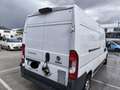 Fiat Ducato alto e prolungato 2.3 Multijet 130 CV. - thumbnail 4
