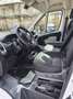Fiat Ducato alto e prolungato 2.3 Multijet 130 CV. - thumbnail 10