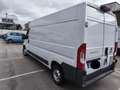 Fiat Ducato alto e prolungato 2.3 Multijet 130 CV. - thumbnail 3