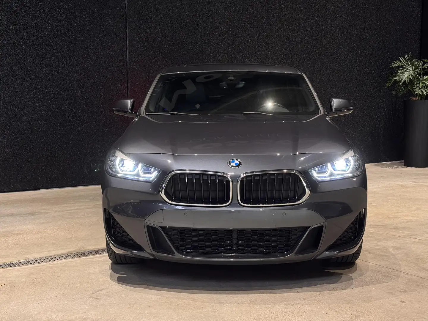 BMW X2 xDrive20i PANO | M PACK | LEDER | Trekhaak Gris - 2