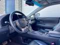 Lexus RX 450h 4WD Tech Edition, leder, navi, schuifdak, trekhaak bijela - thumbnail 7