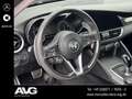 Alfa Romeo Giulia Giulia 2.0 Turbo Bi-Xenon RFK PSD Harman-Kardon - thumbnail 13