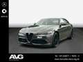 Alfa Romeo Giulia Giulia 2.0 Turbo Bi-Xenon RFK PSD Harman-Kardon - thumbnail 1