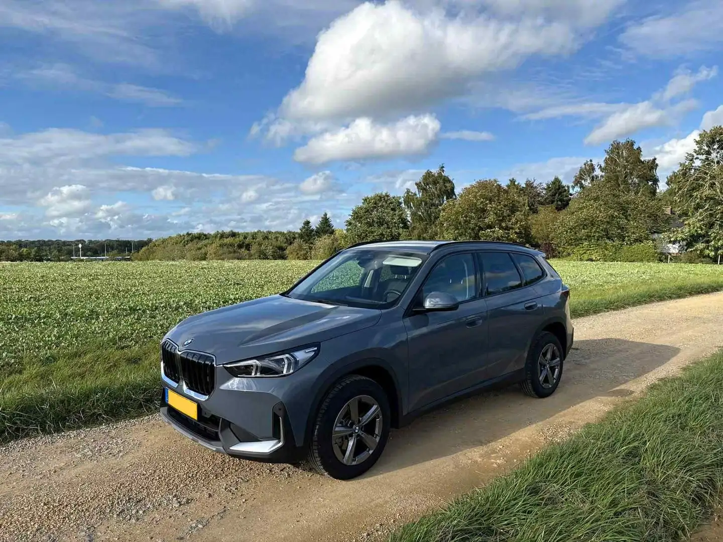 BMW X1 X1 sDrive18i Aut. Gris - 1
