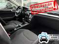 Volkswagen Arteon Arteon 1.5 TSI ACT +CARPLAY+ACC+PDC+SPUR+LED-SW+ Gris - thumbnail 12