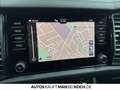 Skoda Kodiaq 1.5 TSI DSG Sportline PDC ACC MATRIX NAVI Blu/Azzurro - thumbnail 14
