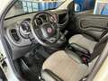 Fiat Panda 0.9 t.air t. Cross 4x4 85cv Bianco - thumbnail 13