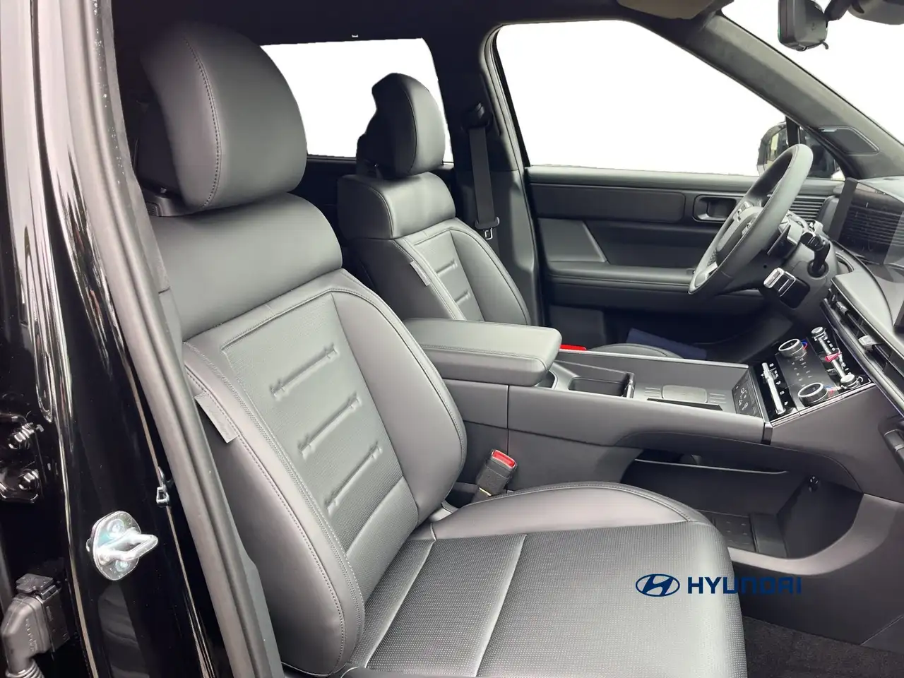 Hyundai SANTA FE 1.6 HEV BLACKLINE LEDER 360° HEAD-UP 19