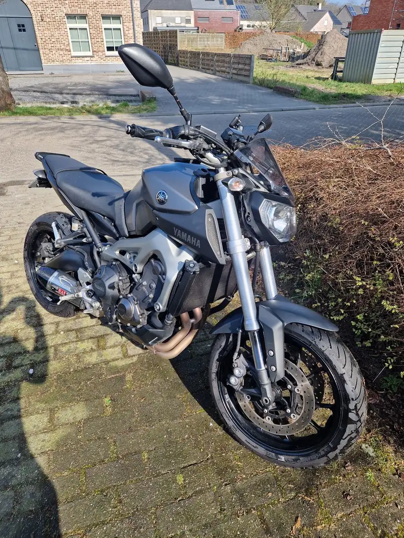 Yamaha MT-09 Gris - 2