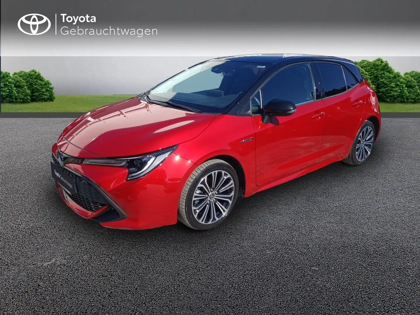 Toyota Corolla 1,8 5-T. Hybrid Team D Bi-Tone Navi Technik-Paket Rojo - 2