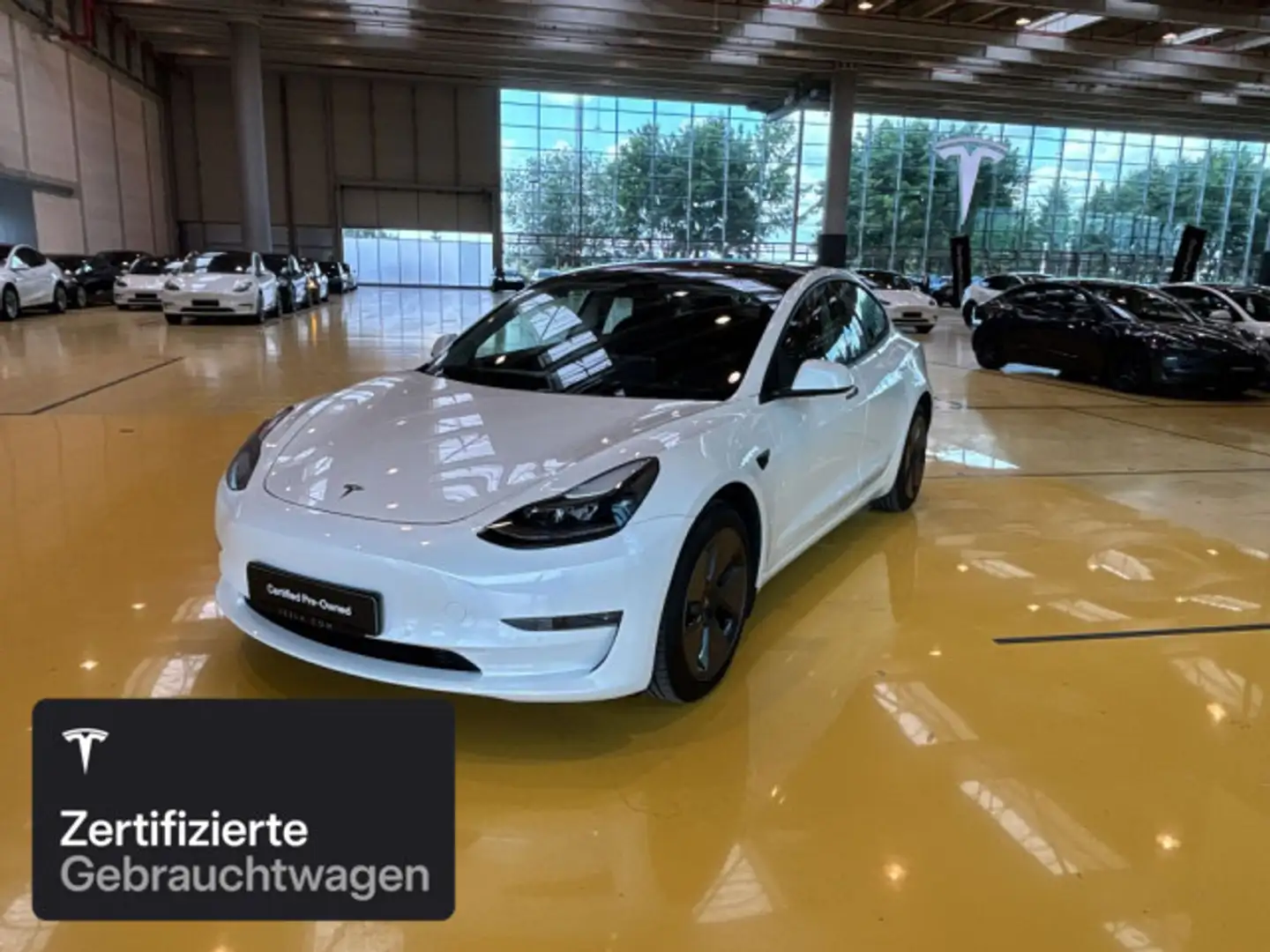 Tesla Model 3 Long Range AWD Weiß - 1