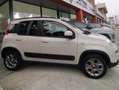 Fiat Panda Panda 0.9 t.air turbo Trekking 85cv E6 Beige - thumbnail 11