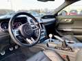 Ford Mustang Bullitt / 5.0l V8 460 CH BVM 6 / Verde - thumbnail 8