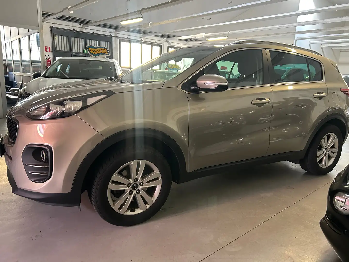 Kia Sportage Sportage IV 1.6 gdi Cool 2wd 132cv Bronzo - 1