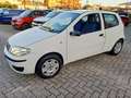 Fiat Punto Punto 3p 1.2 Active Wit - thumbnail 11