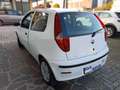Fiat Punto Punto 3p 1.2 Active Wit - thumbnail 2