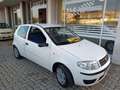 Fiat Punto Punto 3p 1.2 Active Wit - thumbnail 1
