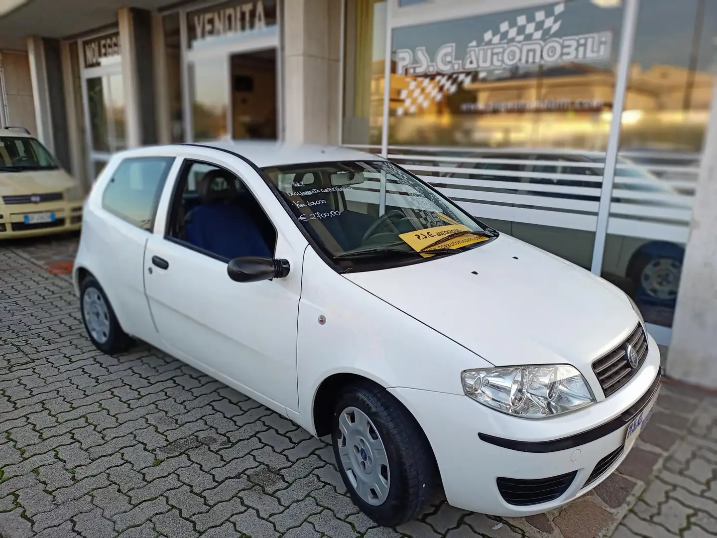 Fiat Punto Punto 3p 1.2 Active Wit - 1