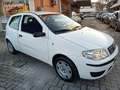 Fiat Punto Punto 3p 1.2 Active Wit - thumbnail 14