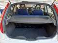 Fiat Punto Punto 3p 1.2 Active Wit - thumbnail 6