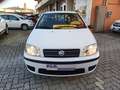 Fiat Punto Punto 3p 1.2 Active Wit - thumbnail 10