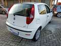 Fiat Punto Punto 3p 1.2 Active Wit - thumbnail 16