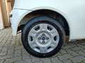 Fiat Punto Punto 3p 1.2 Active Wit - thumbnail 17