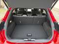 Ford Puma 1,0 EcoBoost Hybrid Titanium Aut. Rot - thumbnail 16