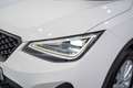 SEAT Arona 1.0 TSI S&S Style XM 110 Blanc - thumbnail 10