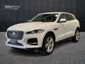 Jaguar F-Pace 2.0 D I4 SE Bianco - thumbnail 1