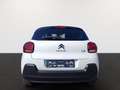 Citroen C3 C3 PureTech 83 Shine Pack Weiß - thumbnail 5
